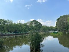 -翠湖公园