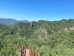 -大岭沟猕猴桃谷风景区