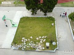 -上海科学技术职业学院