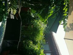 android_upload_pic-陶野咖啡·面包披萨