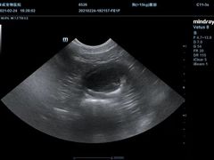 -康成宠物医院24H·CT·核磁共振