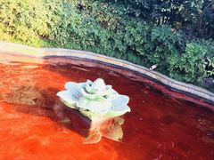 -杭州第一世界大酒店·云曼温泉