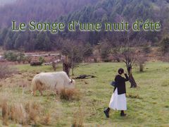 -硗碛藏寨·神木垒景区