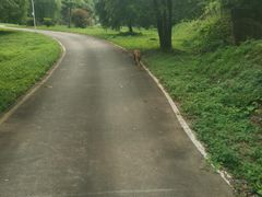 -乔伯凉面(白沙路店)