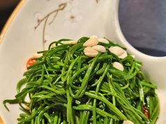 -蒙料·手把肉(望京店)