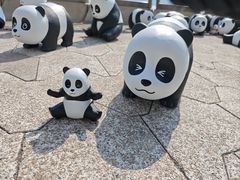 -星光大道