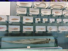 -浙江自然博物院(杭州馆)