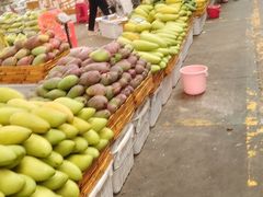 -三亚新鸿港水果一级批发市场