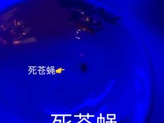 -小龙坎老火锅(金柏林店)