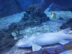 景点-多彩贵州城极地海洋世界