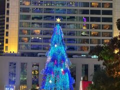 -Big Bus Tours 敞篷观光巴士