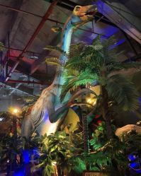 -恐龙探索乐园(磁器口店)