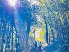 -西湖风景区十里琅珰-五云山