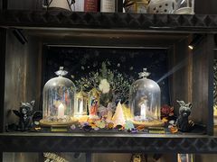 -雪灵魔法世界SHELLY’S TAROT(大良桂畔里店)