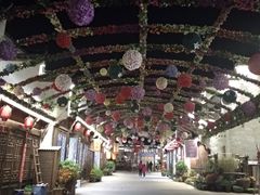 -婺源梦里老家大型山水实景演出