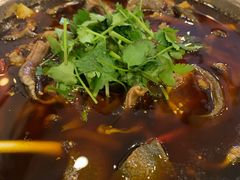 冷锅脆鳝-高坎一品甲鱼庄(两河店)