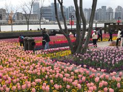 -丹东路渡口(轮渡站)