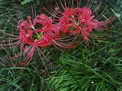 -台州府城(东湖)