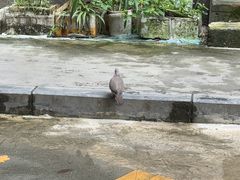 -左撇子私房面