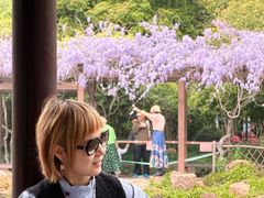 -上海醉白池公园