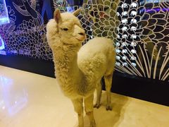 -中影·星感觉激光巨幕影城(博物馆店)