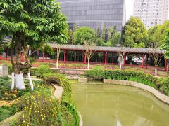-龙潭水乡