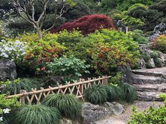 -西湖外事游船(花港观鱼码头)