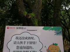 -茂德公草堂