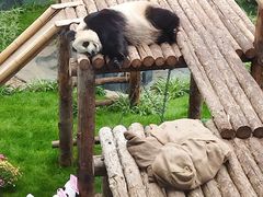 -大连森林动物园