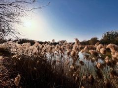 -大兴滨河森林公园