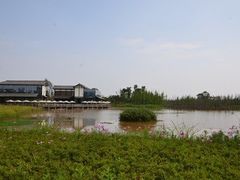 -白鹭湾湿地公园
