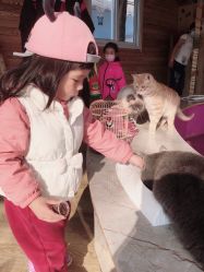 -萌宠亲子动物乐园(槐房万达店)