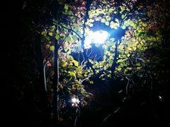-苏州大学独墅湖校区-第6食堂