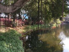 -荔湾湖公园