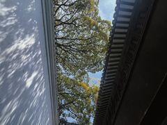 -绮园景区