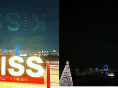 -台场海滨公园船码头