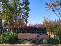 -上海长兴岛郊野公园