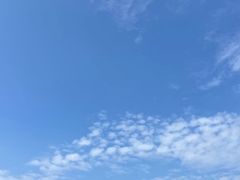 -喜家德虾仁水饺(东海缤纷天地店)