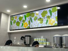 -雾与山茶(大禹城店)