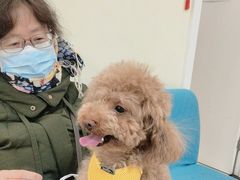 -美联众合动物医院·24h京西诊疗中心