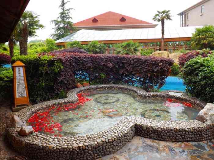 金孔雀温泉旅游度假村-"设施完善,泡完整个人都舒心啦,很不错的.