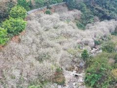 -广东天露山旅游度假区