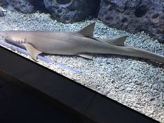 -福州罗源湾海洋世界旅游区