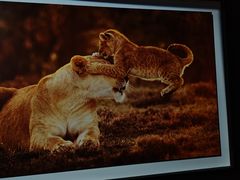 -罗红摄影艺术馆