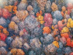 -罗红摄影艺术馆