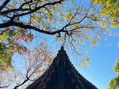 -灵谷景区