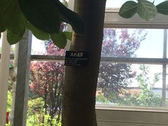 -南通洲际绿博园