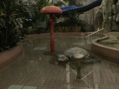 -北京瑞麟湾温泉度假酒店