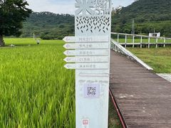 -艾米稻香小镇
