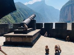 -白帝城·瞿塘峡景区